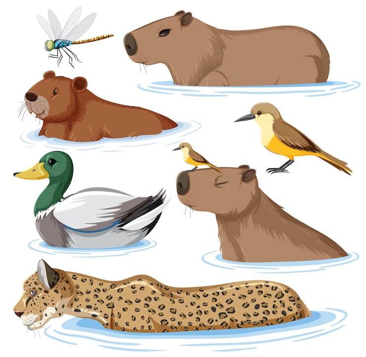 Vector set of wild animals