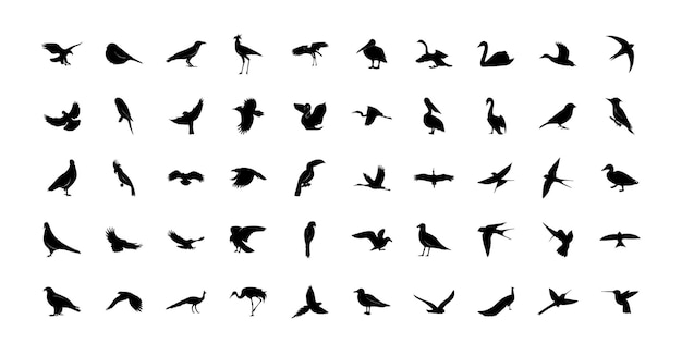 A set of wild birds templates. Black icons isolated