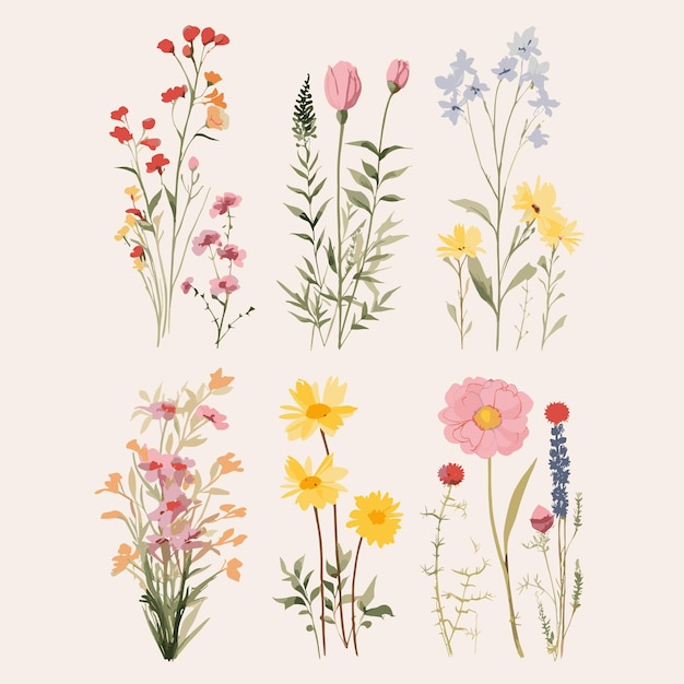 Vector set wild flower for decoration