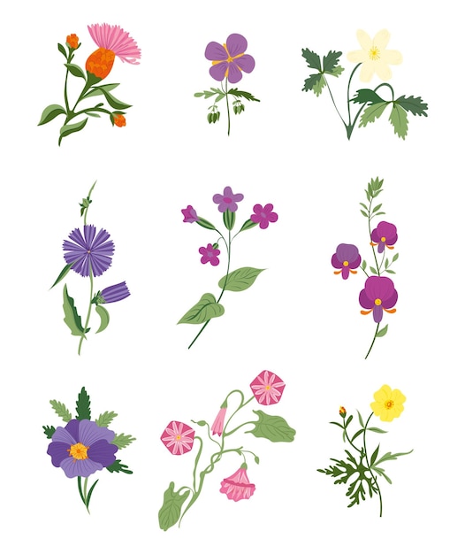 Set of wild flowers isolated on white background Flat vector illustration hand drawn