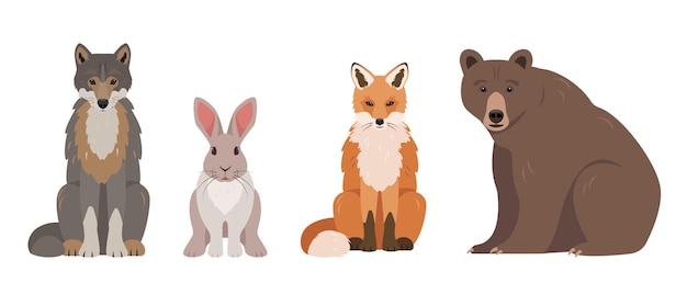 Set of wild forest animals in different poses gray wolf red fox brown bear and gray hare or rabbit