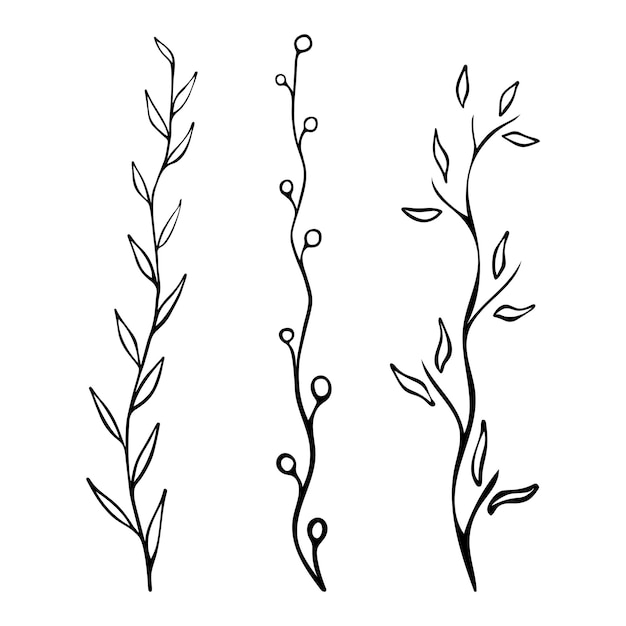 Set of wild plants branches on a white background