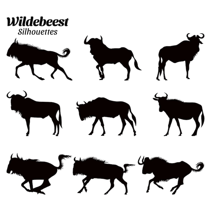 Vector set wildebeest silhouette vector illustration