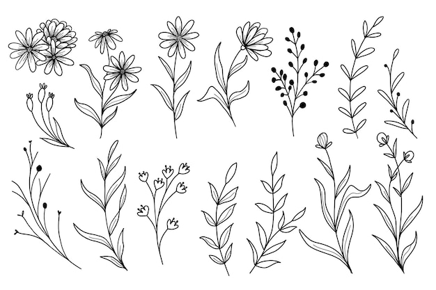 Set of wildflower doodle line art with leaves