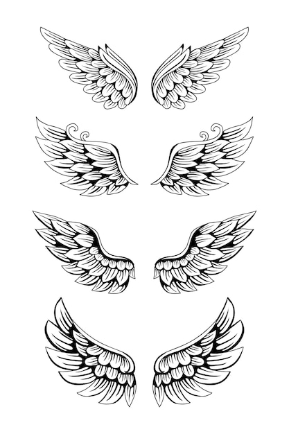 Set of wing illustration