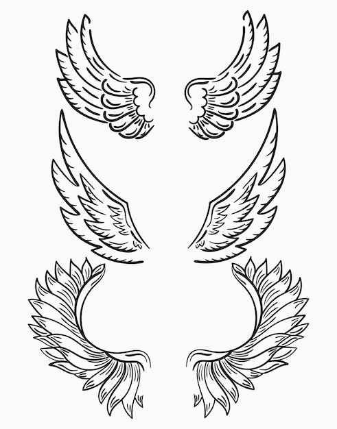 Vector set of wings. collection of black-and-white wings for clipart. abstract angel wings.