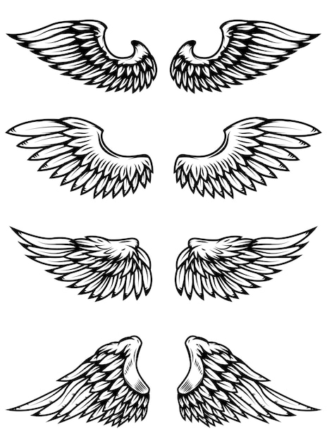 Vector set of the wings  on white background.  elements for logo, label, emblem, sign, badge.  illustration