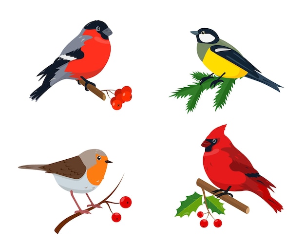 Set wintervogels voor kerst- en nieuwjaarsontwerp