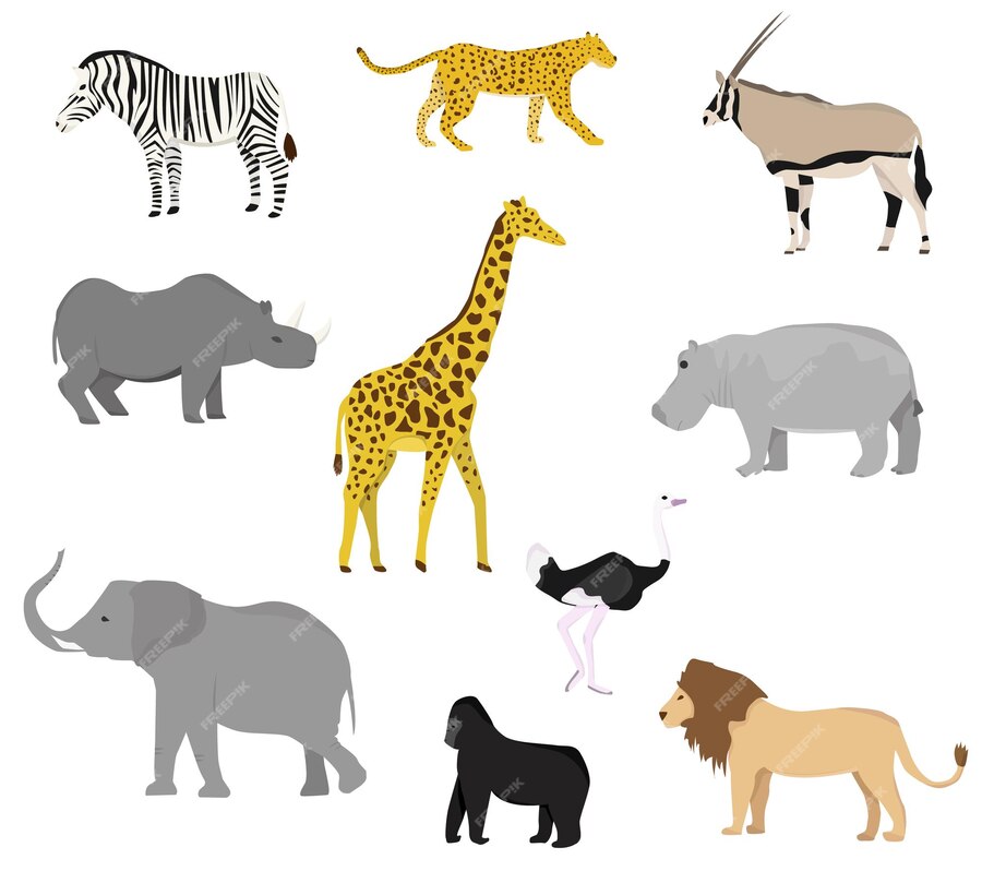Premium Vector | Set with african wild animals flat style