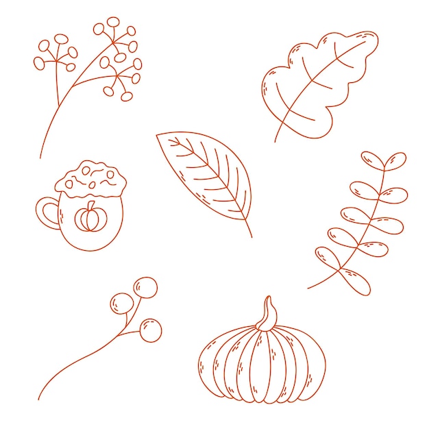 Set with autumn leaves and berries pumpkin and cup with cream vector outline illustration