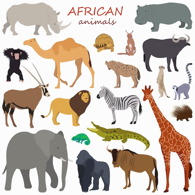 Vector set with colorful african animals in minimalism style . cute wild animals. big set with animals.