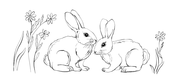 Un set con simpatici coniglietti sullo stile di doodle disegnato a mano sull'erba, schizzo. sagoma con un contorno nero