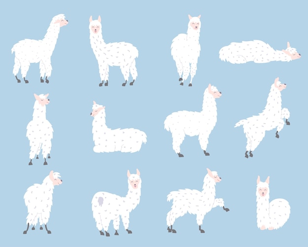 Set with cute llamas. Isolated outline cartoon baby llama vector. Guanaco, alpaca, vicuna.