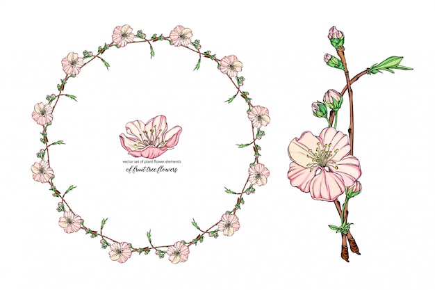 set with delicate flowers, blooming branch