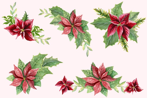 Set with different buttonholes from poinsettia and green leaves