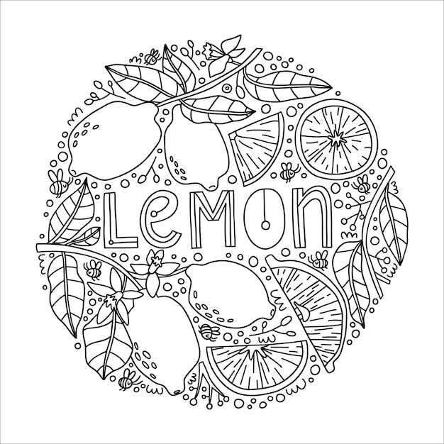 Set with doodle lemons flowers and twigs hand drawn vector illustration