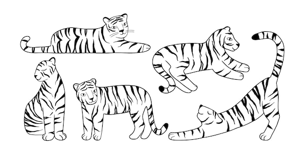 Set with doodle tigers drawn with lines. Vector hand-drawn illustration