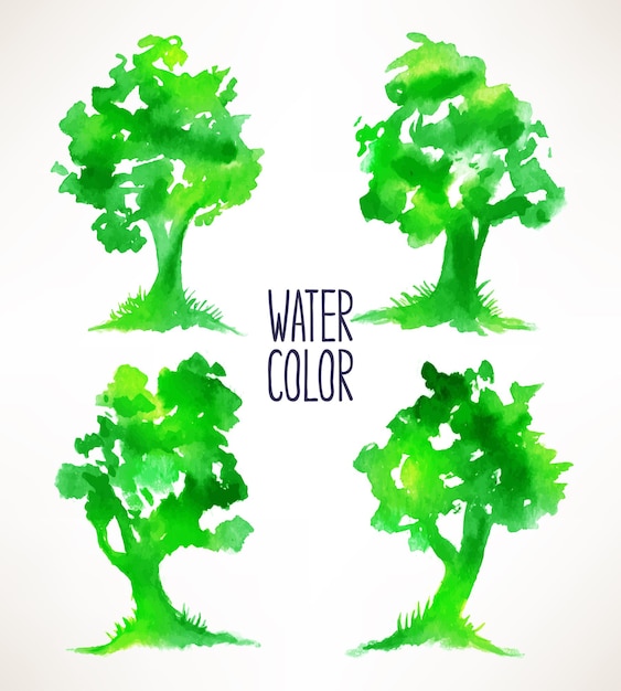 Set with four beautiful green watercolor trees. hand-drawn illustration