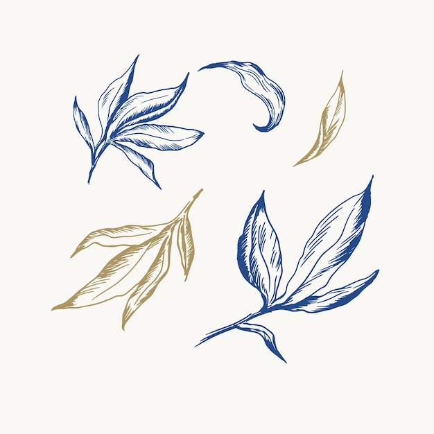 Set con incisione a mano vintage foglie illustrazione botanica