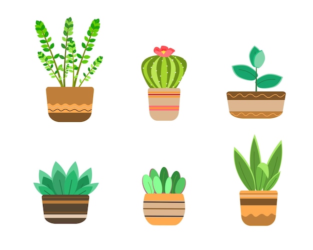 Set with home plants and cacti