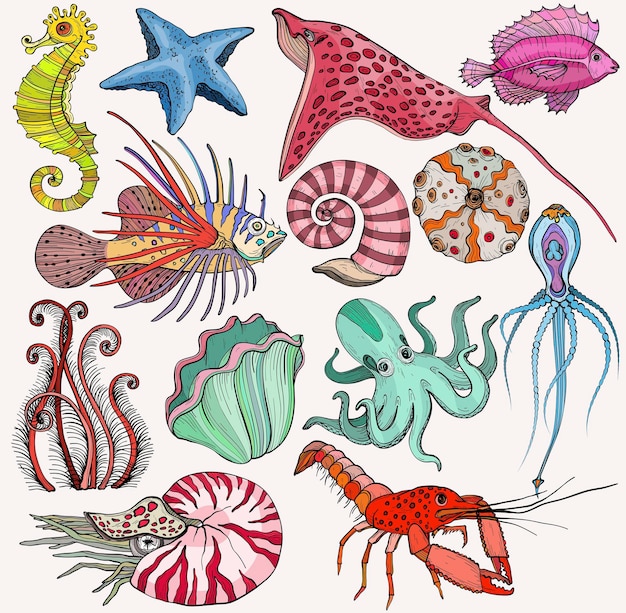 Vector set with marine life organisms