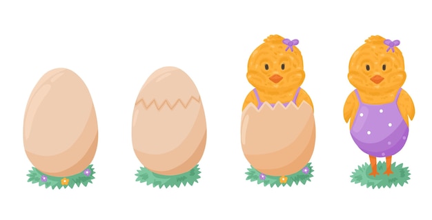 Vector set with newborn chick and hatched egg in cartoon style