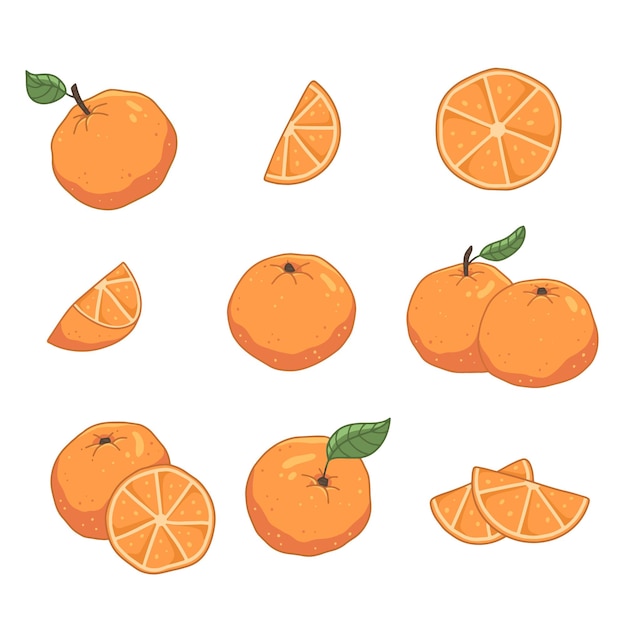 Set with oranges in cartoon style A whole orange a slice of orange Vector isolated food illustration