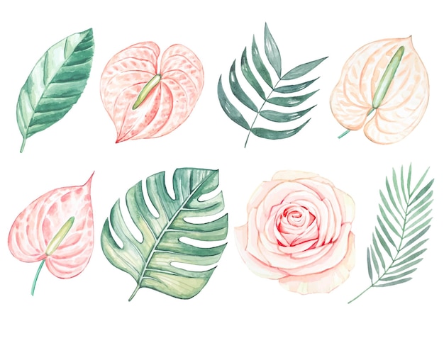 ピンクのバラのつぼみ手描き花柄コレクション水彩セット