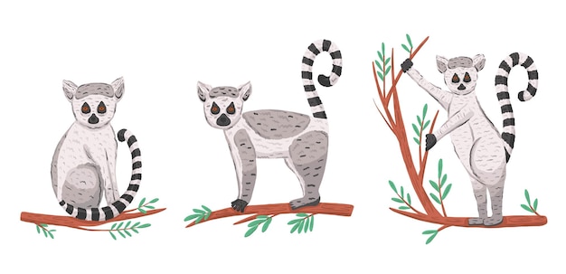 Vector set with ring tail lemur in cartoon style