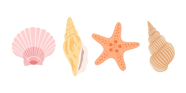 Vector set with shells and starfish isolated on white background