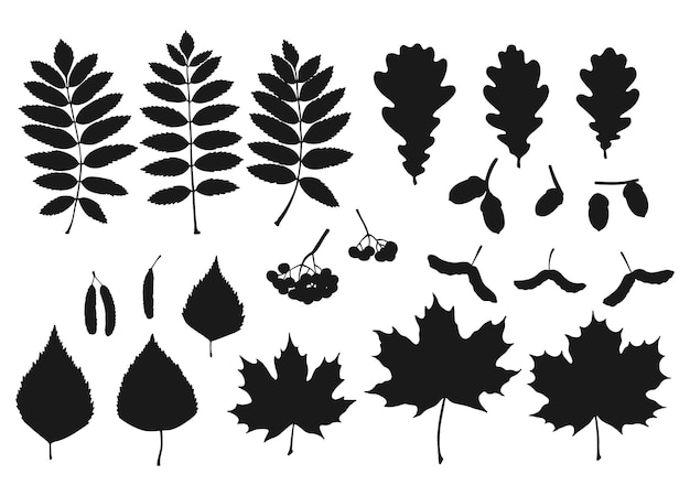 Set with silhouette leaves berries and acorns Hand drawn autumn vector illustration