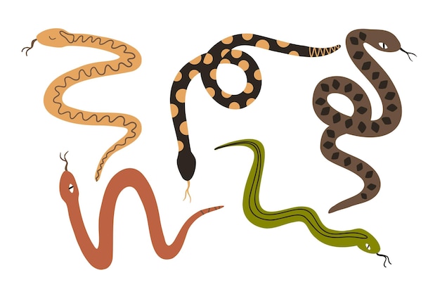 Vector set with snakes with different colors in flat style vector illustration isolated on white background