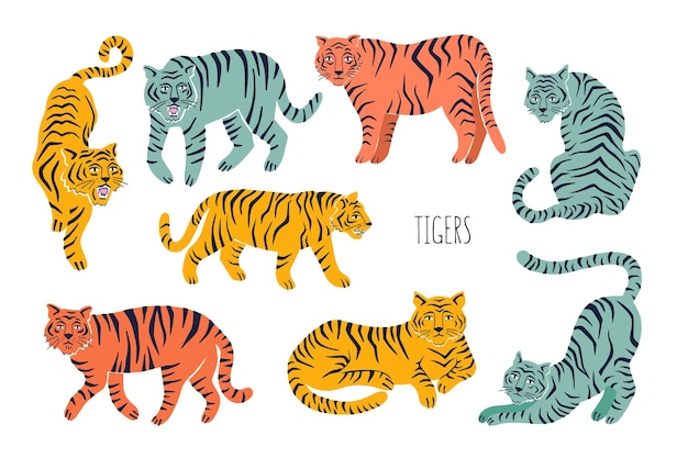 Vector set with tigers in different poses hand drawn vector illustration