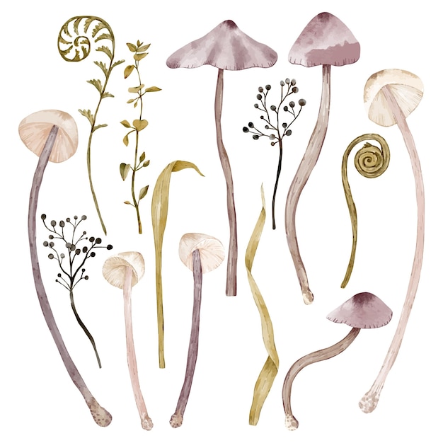 A set with various mushrooms and flowers