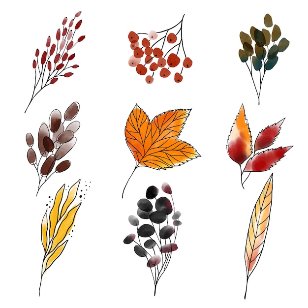 Set with watercolor autumn branches, leaves, berries, maple leaf isolated on white background