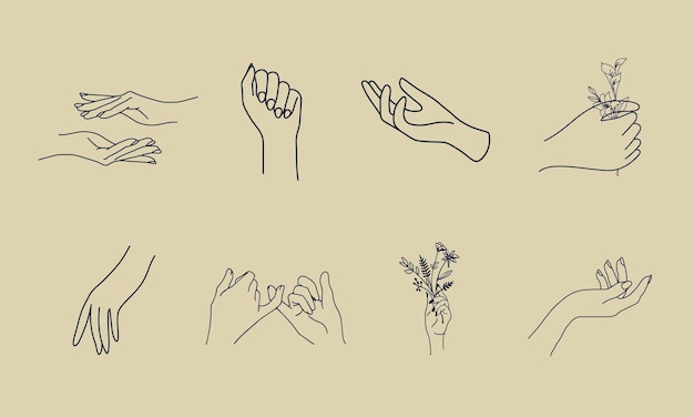 Un set di collezioni di icone della mano della donna in uno stile lineare minimo modelli di design del logo vettoriale