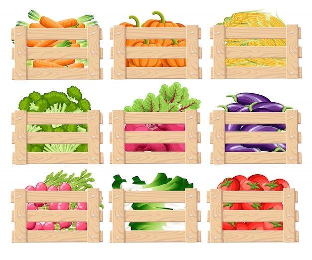 Vector set of wooden box for vegetables keeping and fruits wood crates front view with fresh food with  illustration  on white background