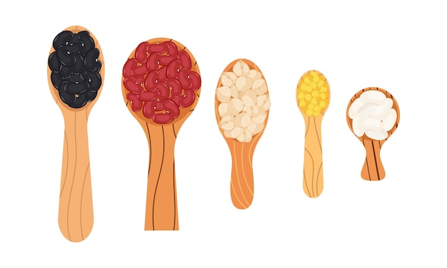 Set of wooden spoons of various sizes with different types of legumes on white background.