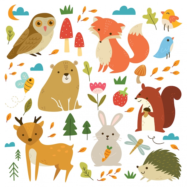 Set of woodland animals 