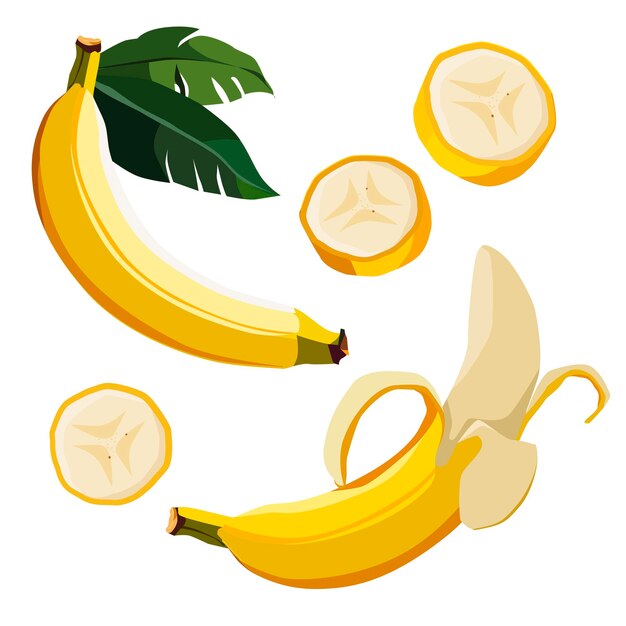 Set of yellow banana and slices Isolated vector sliced fruit in flat style Clipart for design