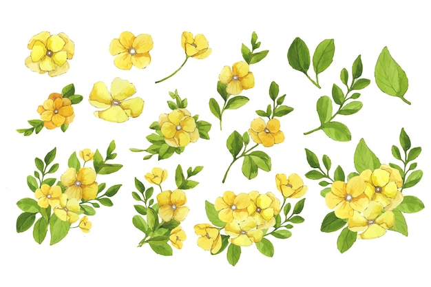 Vector set of yellow watercolor flowers