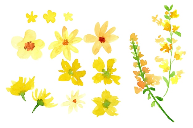 Vector set of yellow wild flower with delphinium watercolor floral bouquet