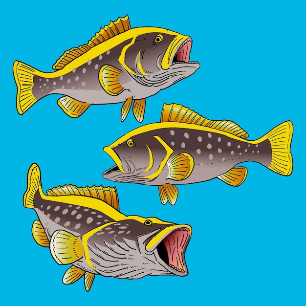 Set of yellowfin grouper fish for gamefish bundle collection