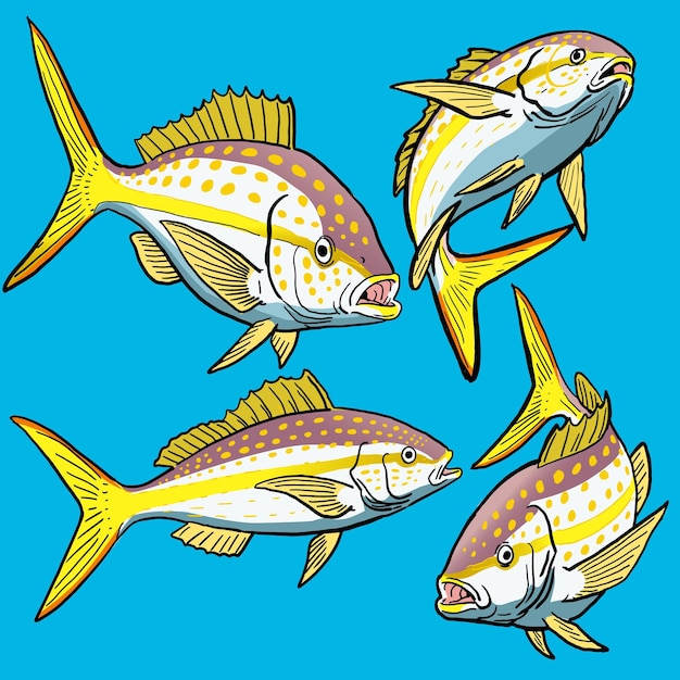 Set of yellowtail snapper fish for gamefish collection