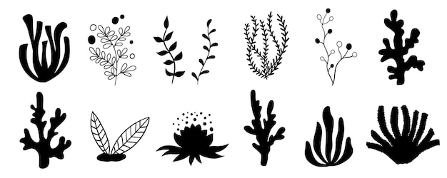 Set zeeplanten koralen en zeewier Silhouetten van onderwaterrifplanten Vector in cartoonstijl