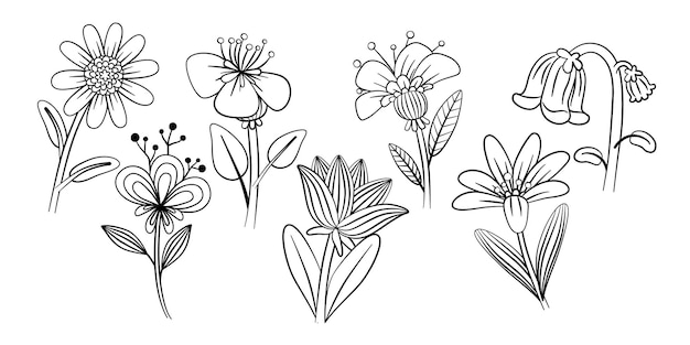 Sets Of Beautiful Flowers Doodle Arts Vector Illustration Black And White