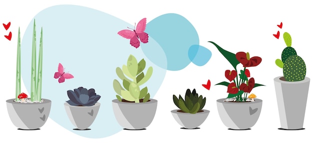 Vector sets of succulent plants in isolated pots