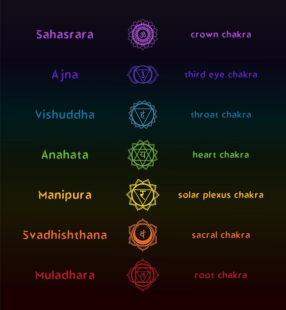 Vettore sette chakra mandala con descrizione in inglese e simboli sanscriti informazioni