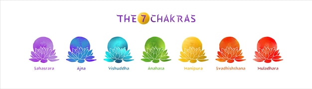 Vector seven chakra symbols horizontal poster