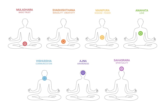 벡터 일곱 가지 색의 차크라와 그것들의 이름과 의미는 인간 몸에 있습니다.